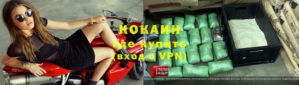 спайс Алзамай