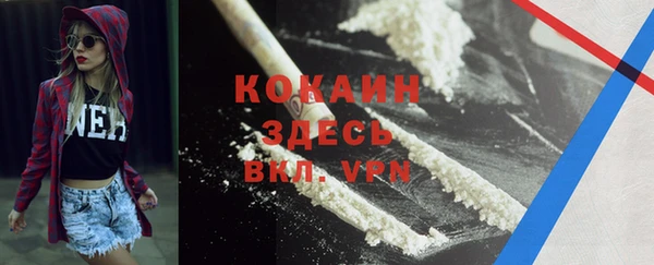 гидра Абаза