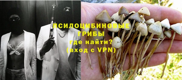ALPHA-PVP Алексеевка